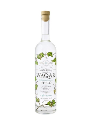 Picture of Waqar Pisco