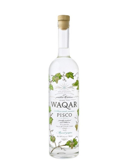 Picture of Waqar Pisco
