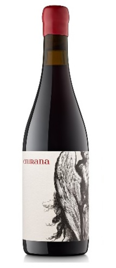 Picture of Clos Salanca Ciurana